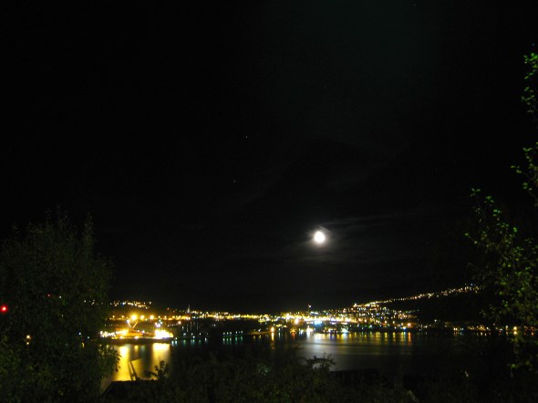Moonshine in the Harbour