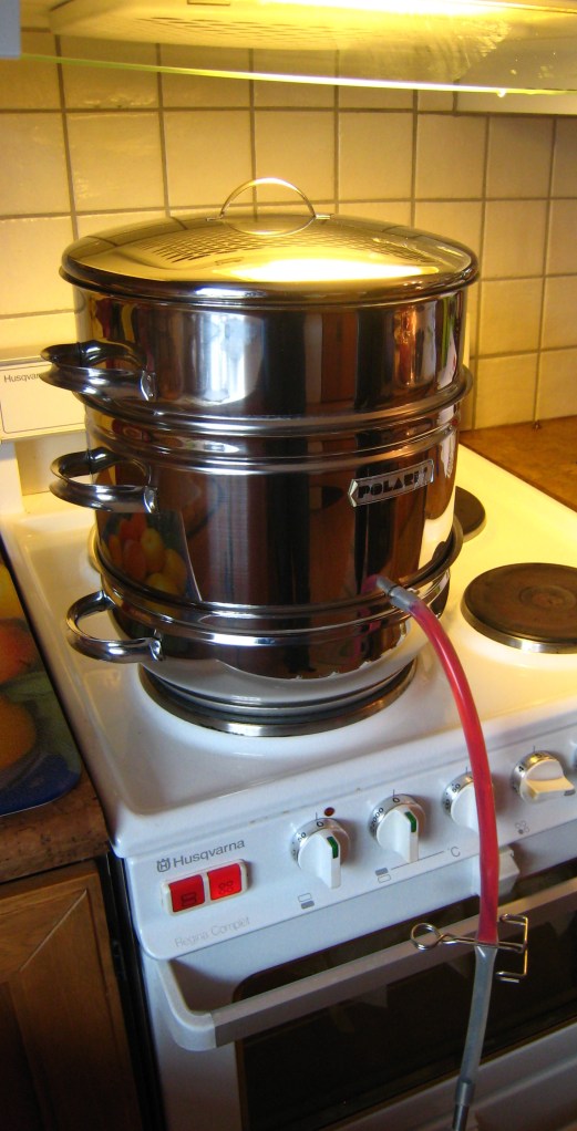 IMG_1625 Cooking redcurrant