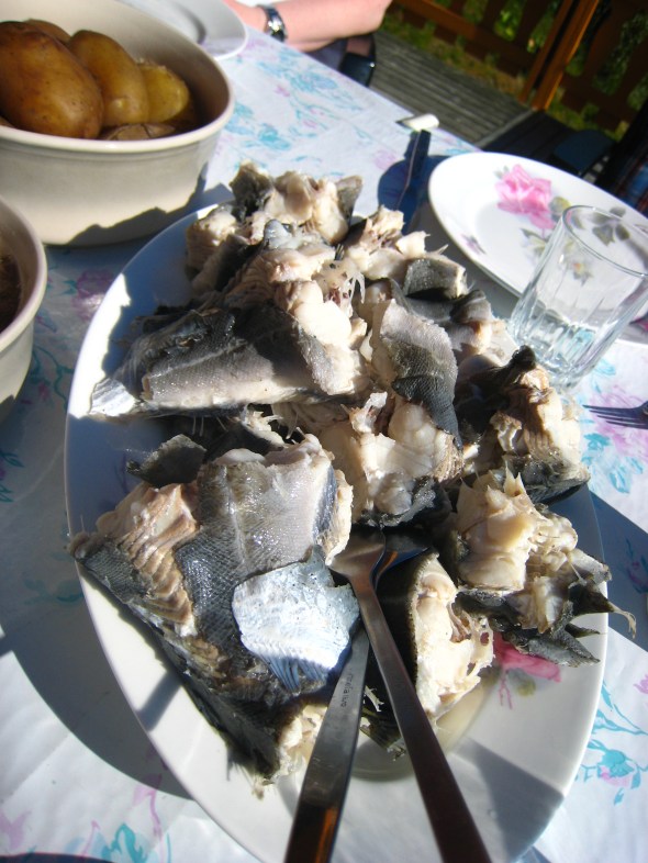 Traditional North-Norwegian summer-meal fresh pollock (saithe)