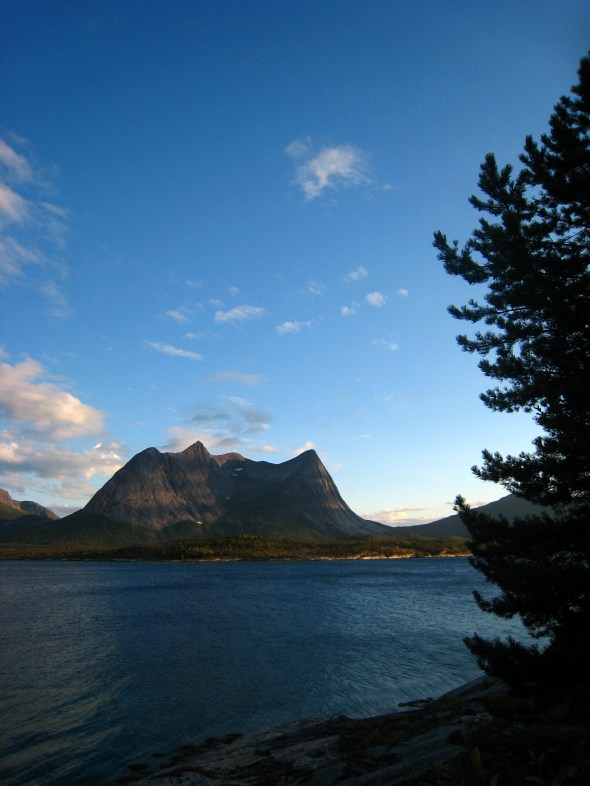 From left to right: Teppekiltinden (665 m), Buskardet, Rundtinden (798 m), Valletindan and Breiskardtinden (883 m) with Efjord in the foreground. To the right is a Norwegian-Russian Scotts Pine (Pinus sylvestris) - a species of trees that has been here since the last ice age about 10.000 years ago.