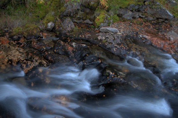 Autumn Leaves in the Taraldsvik River
