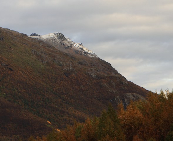 Beisfjortøtta 1,448 meters
