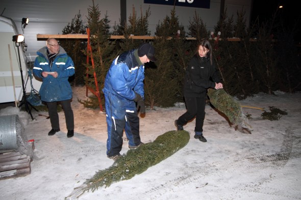 Lions Club Narvik/Ankenes selling Christmas Trees to aid people in need! It's a cold job!