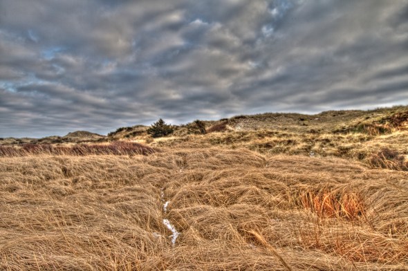HDR - A Moore Field in Winter