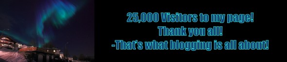 25,000 visitors to my blog