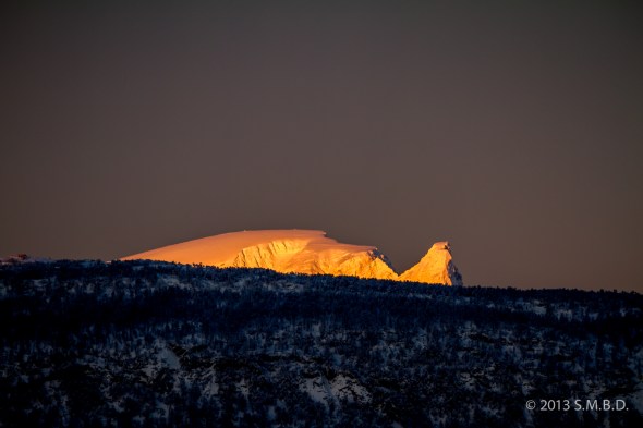 First Sign of Springtime